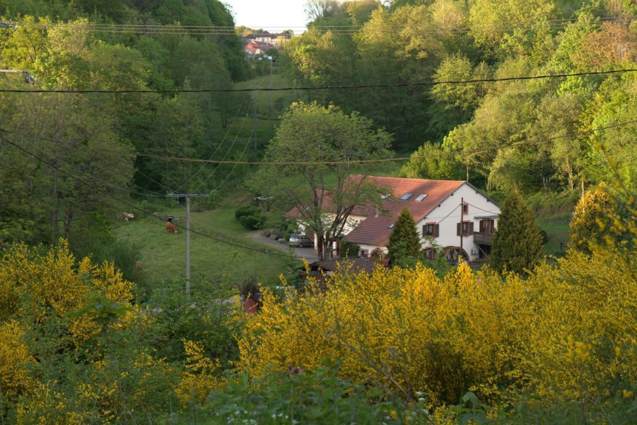 Vacance Conviviales Dans Les Vosges 8 Gites Ban-de-Sapt Εξωτερικό φωτογραφία