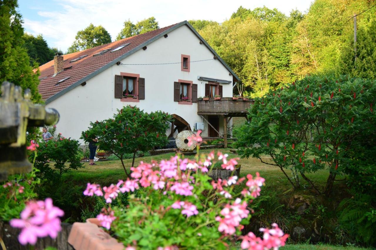 Vacance Conviviales Dans Les Vosges 8 Gites Ban-de-Sapt Εξωτερικό φωτογραφία